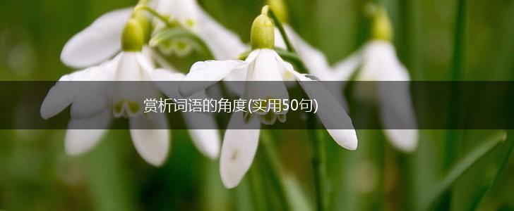赏析词语的角度(实用50句),第1张