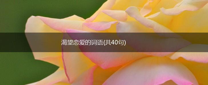渴望恋爱的词语(共40句),第1张