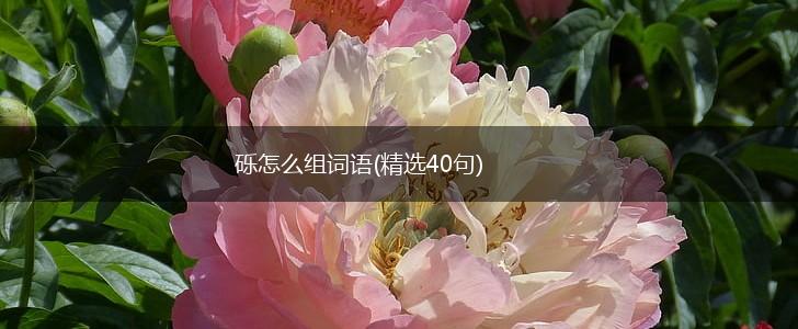 砾怎么组词语(精选40句),第1张