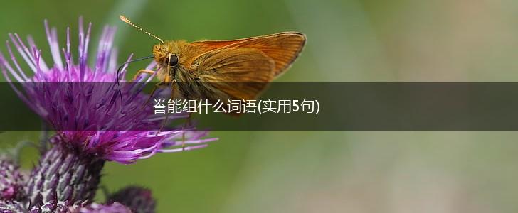 誊能组什么词语(实用5句),第1张