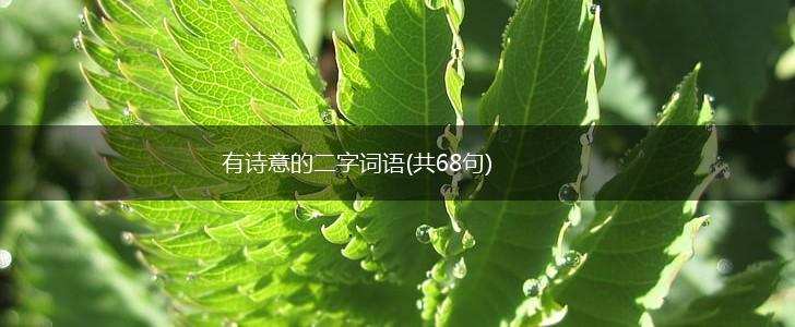 有诗意的二字词语(共68句),第1张