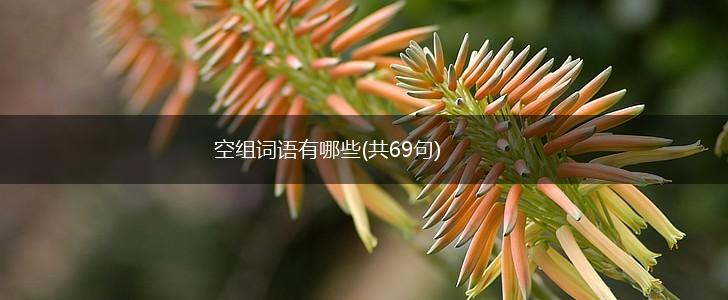 空组词语有哪些(共69句),第1张