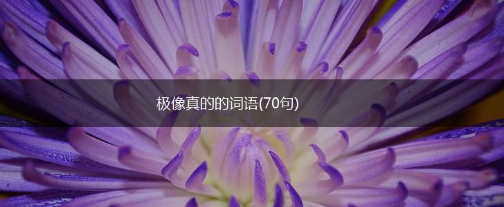 极像真的的词语(70句),第1张