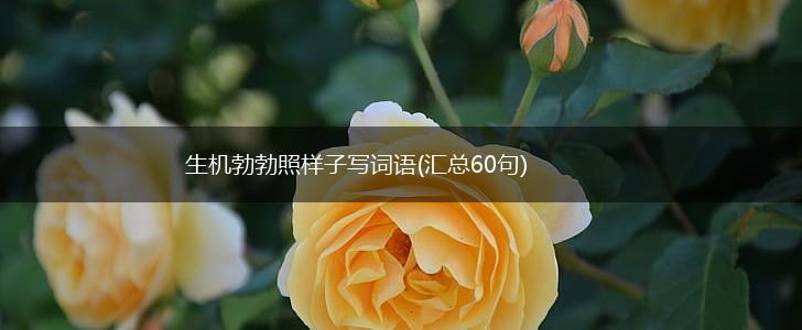 生机勃勃照样子写词语(汇总60句),第1张