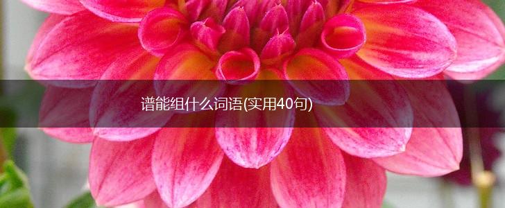 谱能组什么词语(实用40句),第1张