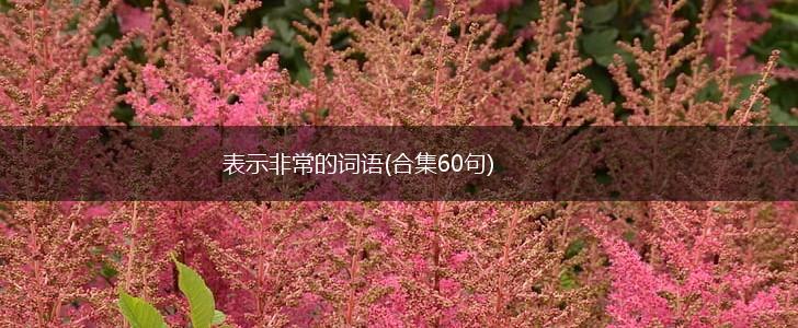 表示非常的词语(合集60句),第1张