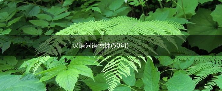汉语词语惊悚(50句),第1张