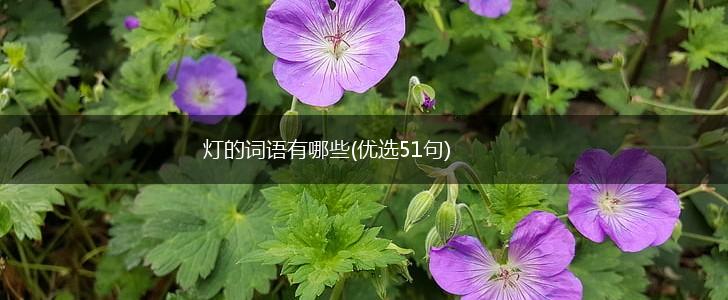 灯的词语有哪些(优选51句),第1张