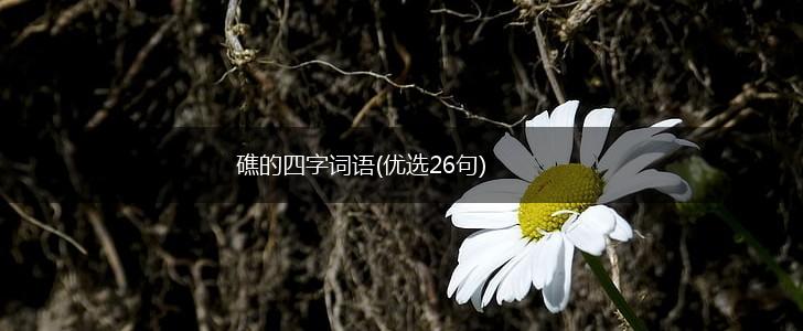 礁的四字词语(优选26句),第1张