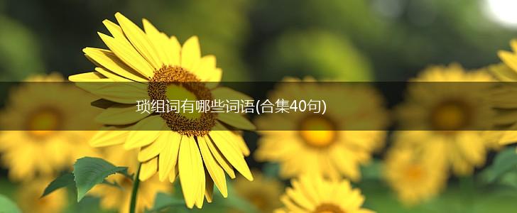 琐组词有哪些词语(合集40句),第1张