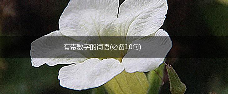 有带数字的词语(必备10句),第1张