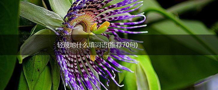 轻蔑地什么填词语(推荐70句),第1张