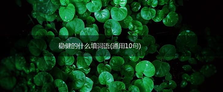 稳健的什么填词语(通用10句),第1张