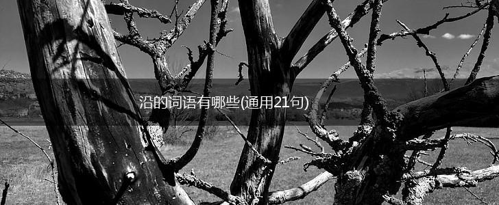 沿的词语有哪些(通用21句),第1张
