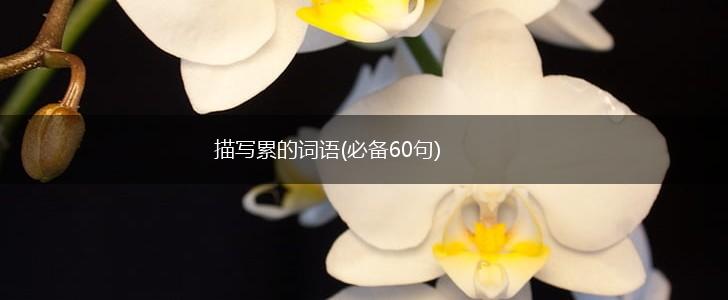 描写累的词语(必备60句),第1张