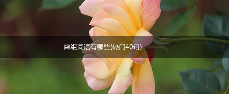 粼组词语有哪些(热门40句),第1张