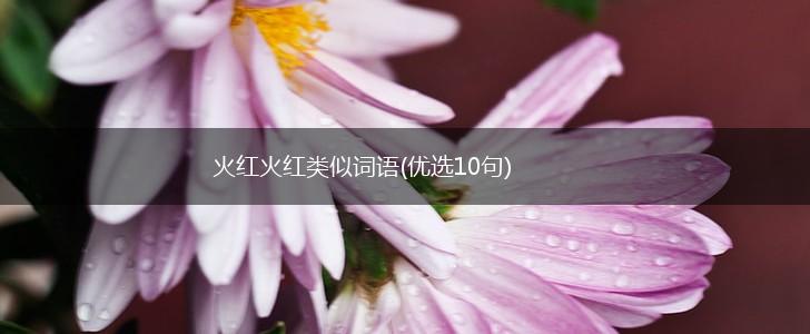 火红火红类似词语(优选10句),第1张