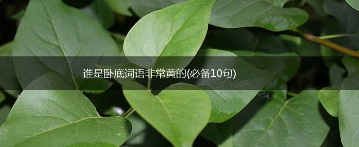 谁是卧底词语非常黄的(必备10句),第1张