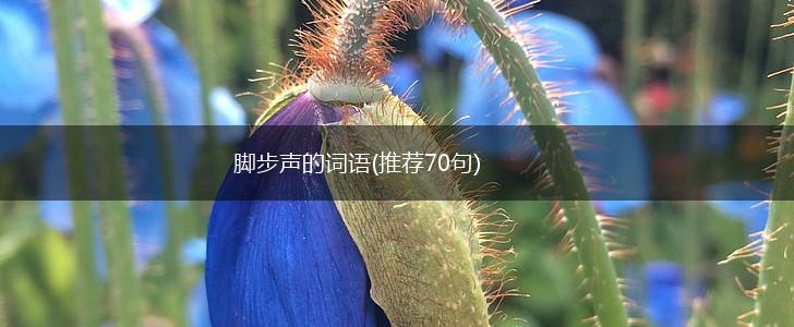脚步声的词语(推荐70句),第1张