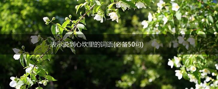 表示说到心坎里的词语(必备50句),第1张