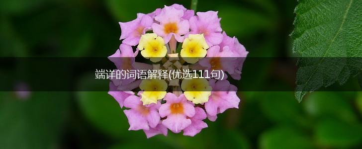 端详的词语解释(优选111句),第1张