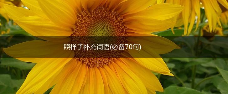 照样子补充词语(必备70句),第1张