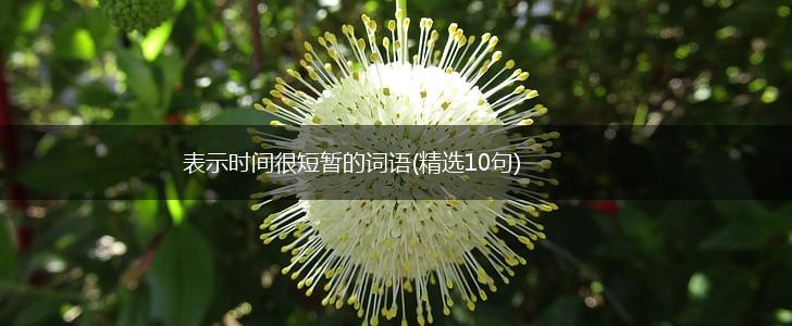 表示时间很短暂的词语(精选10句),第1张