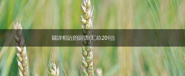 端详相近的词语(汇总20句),第1张