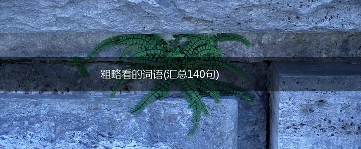 粗略看的词语(汇总140句),第1张