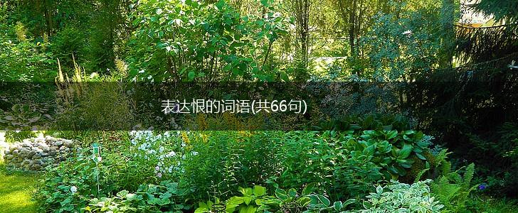 表达恨的词语(共66句),第1张