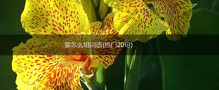 裳怎么组词语(热门20句),第1张