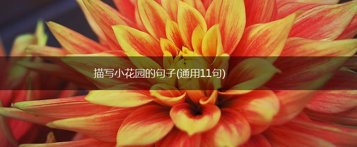描写小花园的句子(通用11句),第1张