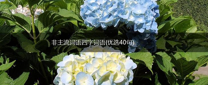 非主流词语四字词语(优选40句),第1张