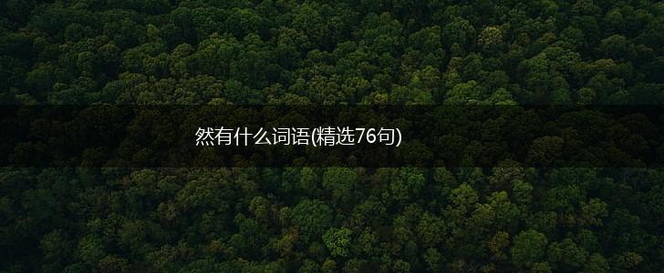 然有什么词语(精选76句),第1张