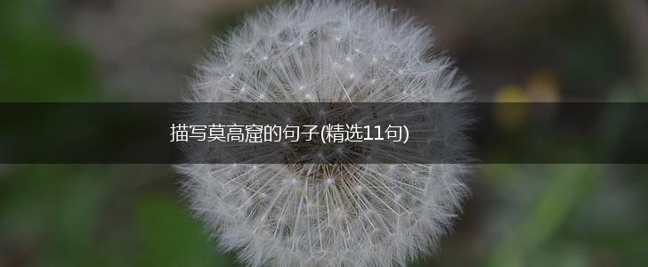 描写莫高窟的句子(精选11句),第1张