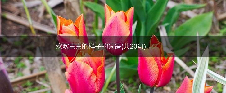 欢欢喜喜的样子的词语(共20句),第1张