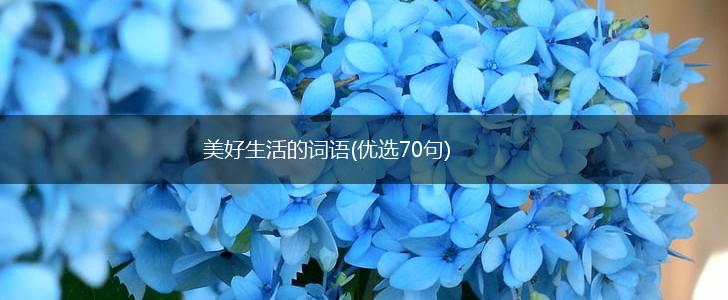 美好生活的词语(优选70句),第1张