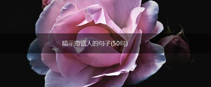 暗示撒谎人的句子(50句),第1张