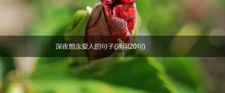 深夜想念爱人的句子(通用20句),第1张
