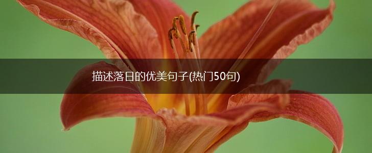 描述落日的优美句子(热门50句),第1张