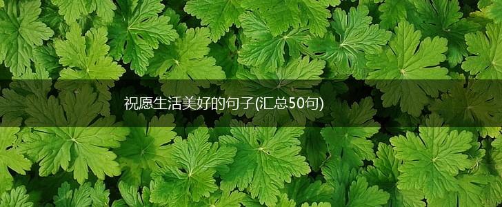 祝愿生活美好的句子(汇总50句),第1张