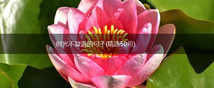 时光不复返的句子(精选50句),第1张