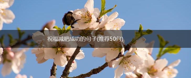 祝福减肥成功的句子(推荐50句),第1张