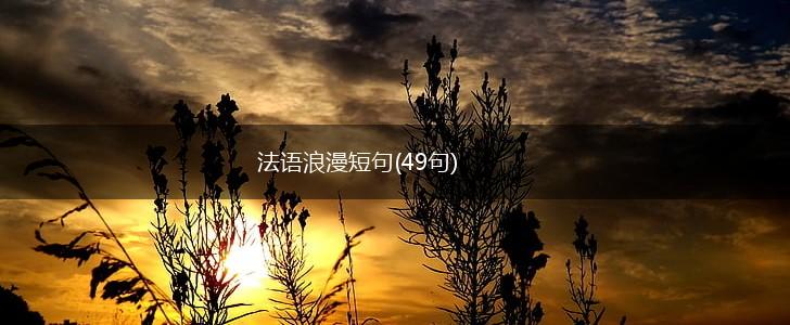 法语浪漫短句(49句),第1张
