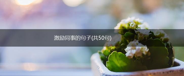 激励同事的句子(共50句),第1张