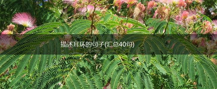 描述耳环的句子(汇总40句),第1张