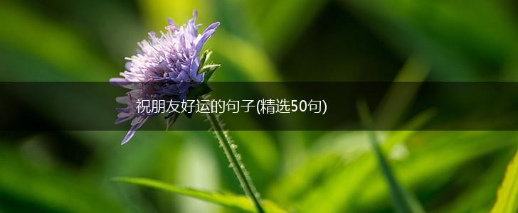 祝朋友好运的句子(精选50句),第1张