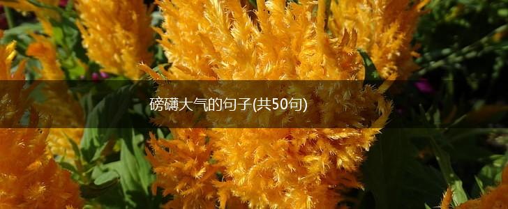 磅礴大气的句子(共50句),第1张