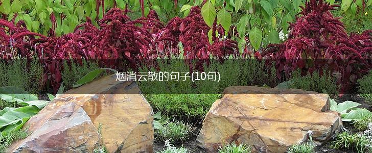 烟消云散的句子(10句),第1张