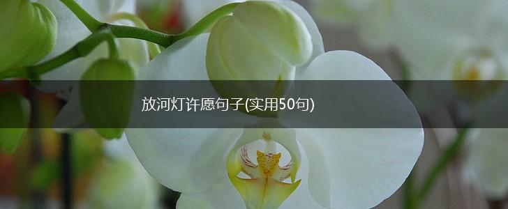 放河灯许愿句子(实用50句),第1张